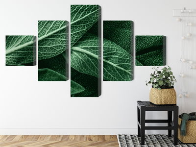 Ljuddämpande tavla - Salvia leaves on a macro