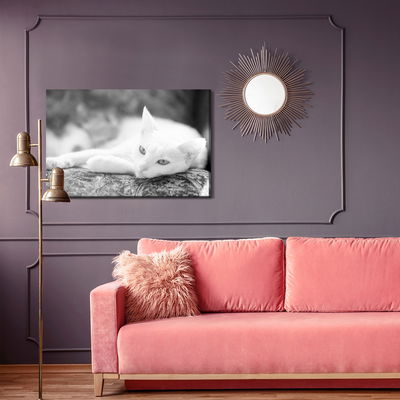Ljuddämpande tavla - A resting white cat