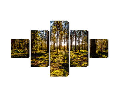 Ljuddämpande tavla - Morning sun rays