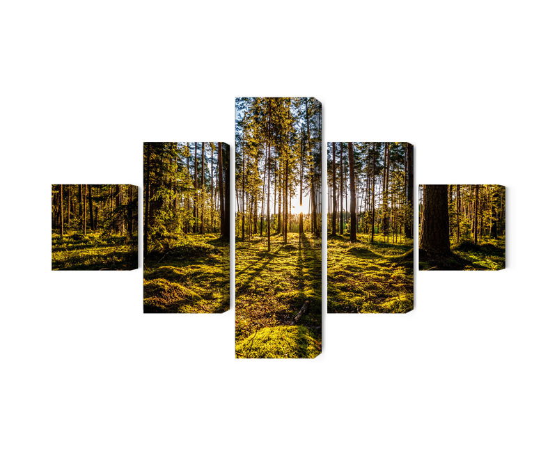 Ljuddämpande tavla - Morning sun rays