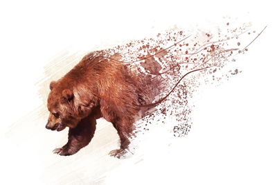 Ljuddämpande tavla - Bear as painted