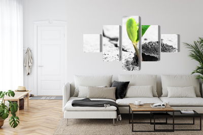 Ljuddämpande tavla - 3d plant sprouting