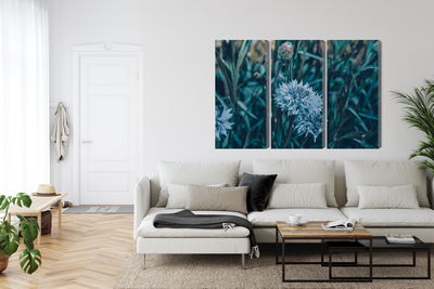 Ljuddämpande tavla - Cornflowers in the meadow 3d