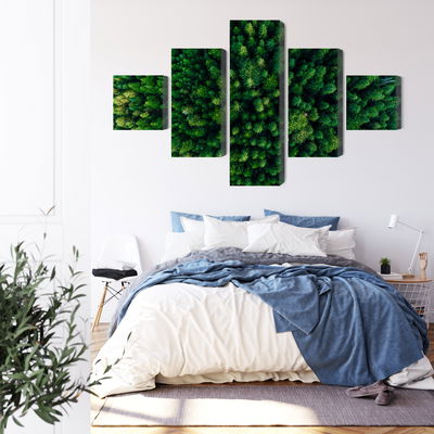 Ljuddämpande tavla - Aerial view of the green