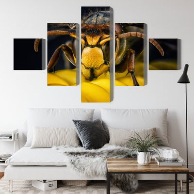 Ljuddämpande tavla - Wasp on a macro scale