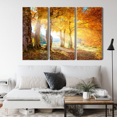 Ljuddämpande tavla - Sunny autumn forest