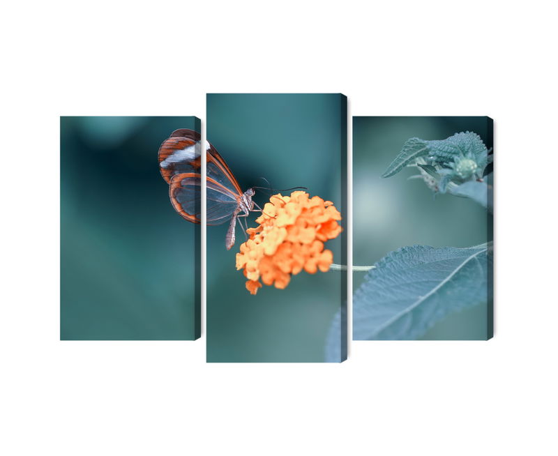 Ljuddämpande tavla - Butterfly in the summer