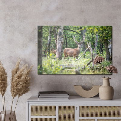 Ljuddämpande tavla - A deer in the middle