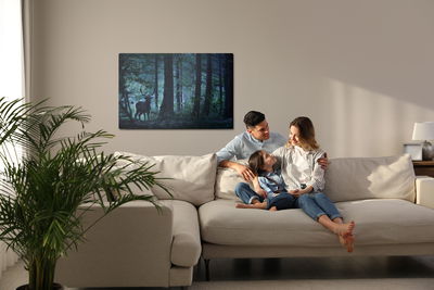 Ljuddämpande tavla - A deer in a dark forest