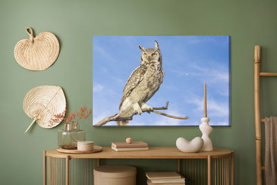 Ljuddämpande tavla - Bird of prey against the sky