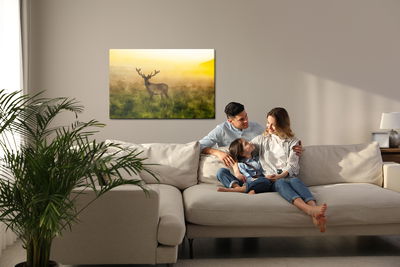 Ljuddämpande tavla - A deer and a foggy morning