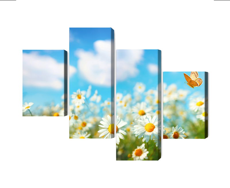 Ljuddämpande tavla - 3d daisy field