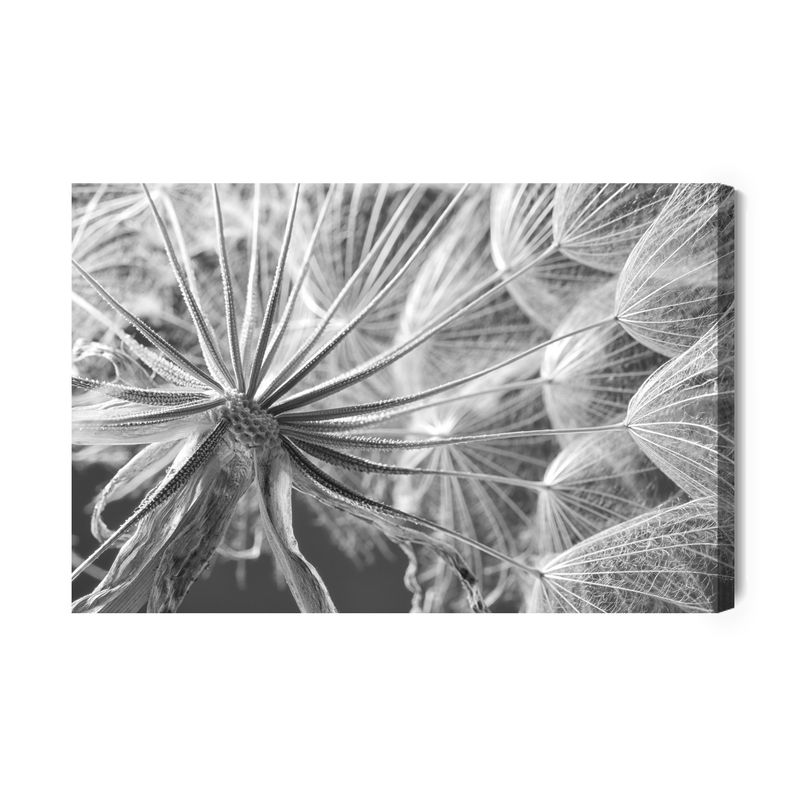 Ljuddämpande tavla - Dandelion close up