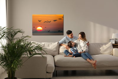 Ljuddämpande tavla - Flying cranes