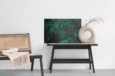 Ljuddämpande tavla - Tropical fern bushes