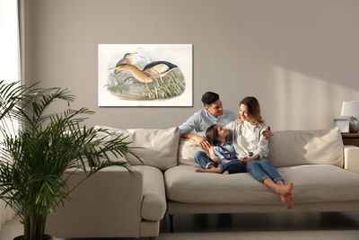 Ljuddämpande tavla - Water birds