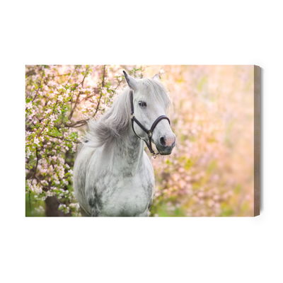 Ljuddämpande tavla - Horse on a background