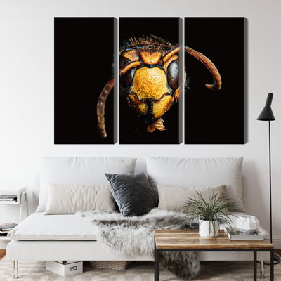 Ljuddämpande tavla - Hornet on a macro scale