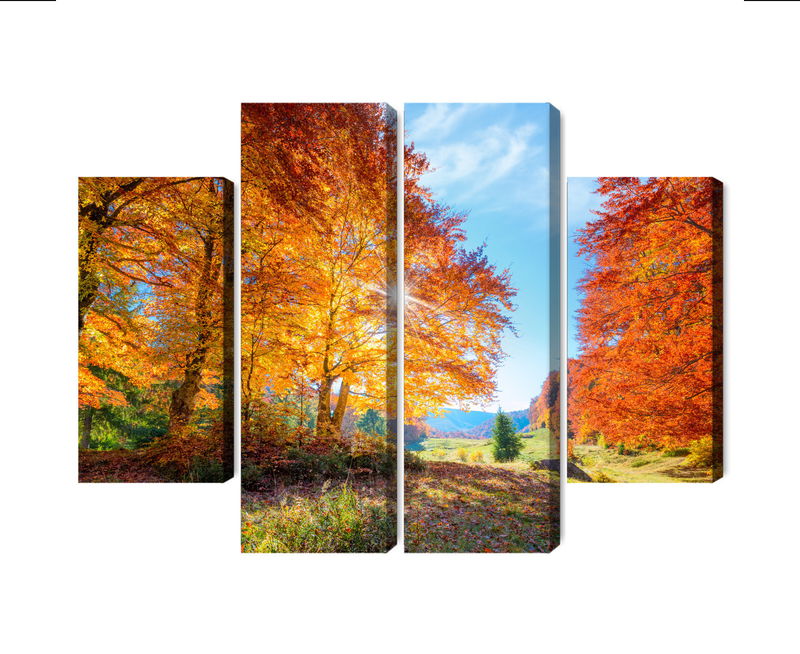 Ljuddämpande tavla - Colorful autumn trees