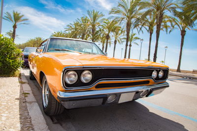 Ljuddämpande tavla - Orange american car