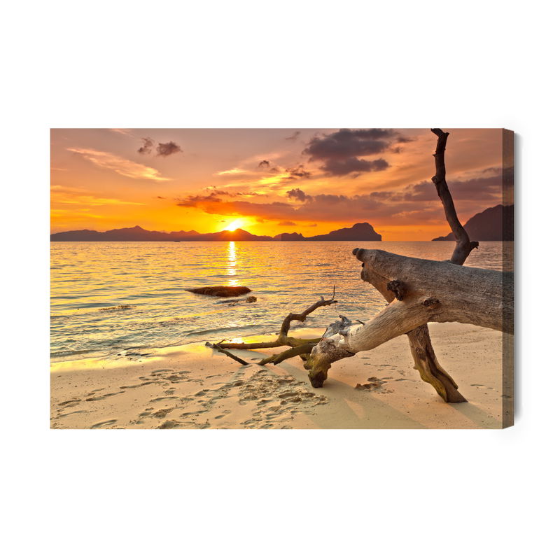 Ljuddämpande tavla - Picture sunset at the beach