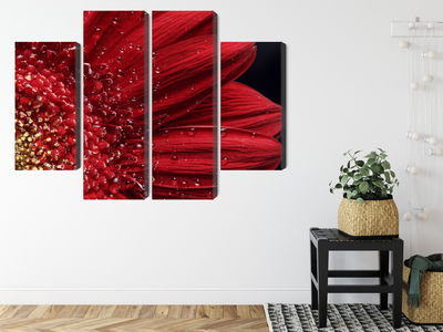 Ljuddämpande tavla - Flower petals on a macro