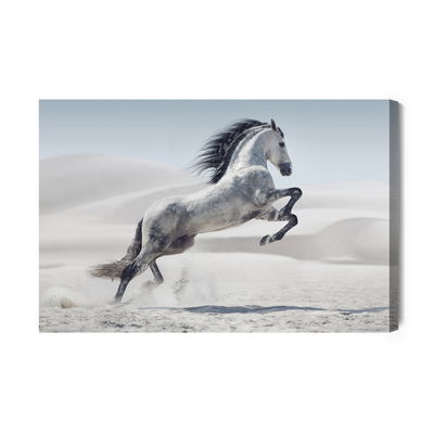 Ljuddämpande tavla - Horse in the desert