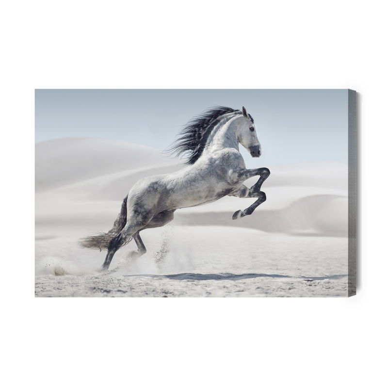 Ljuddämpande tavla - Horse in the desert