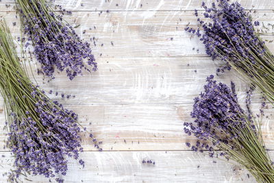 Ljuddämpande tavla - Lavender flowers