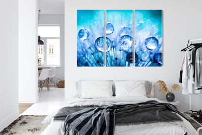 Ljuddämpande tavla - Dew drops on dandelion seeds