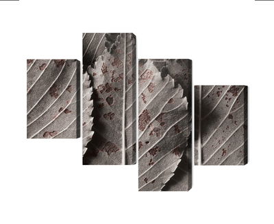 Ljuddämpande tavla - Gray leaves on a macro scale