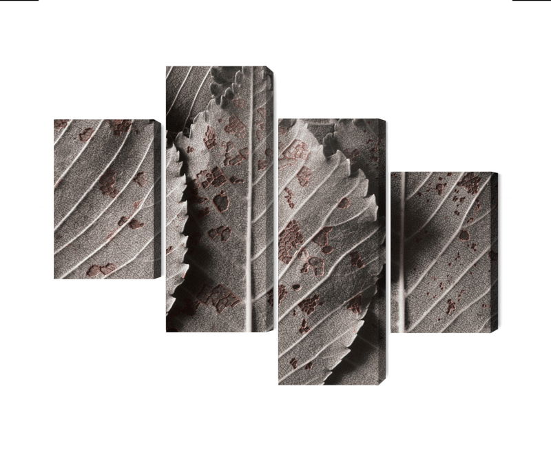 Ljuddämpande tavla - Gray leaves on a macro scale