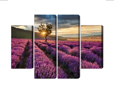 Ljuddämpande tavla - Lavender field at sunset 3d