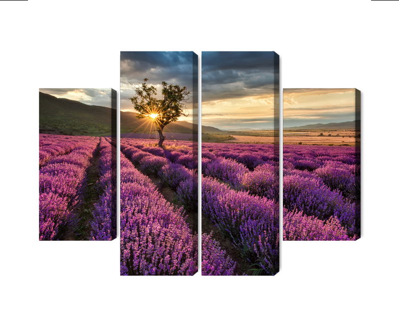 Ljuddämpande tavla - Lavender field at sunset 3d