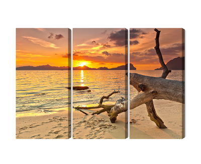 Ljuddämpande tavla - Sea landscape at sunset