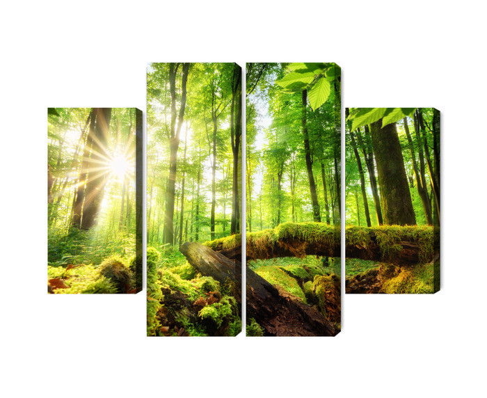 Ljuddämpande tavla - Rays of the sun in the 3d