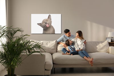 Ljuddämpande tavla - Lovely kitten