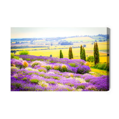 Ljuddämpande tavla - Blooming lavender field