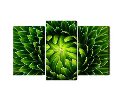 Ljuddämpande tavla - Green plant on a macro scale