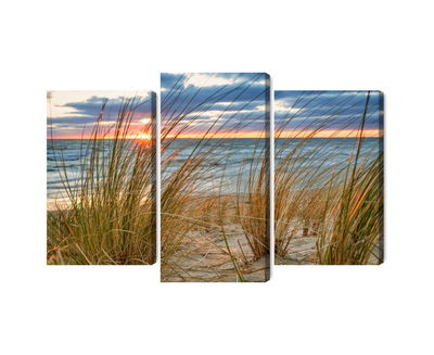 Ljuddämpande tavla - Sunrise on the beach of rügen