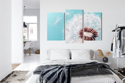 Ljuddämpande tavla - Dandelion flower on a macro