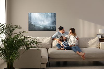 Ljuddämpande tavla - A deer in a dark forest