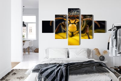 Ljuddämpande tavla - Wasp on a macro scale