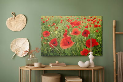 Ljuddämpande tavla - Red poppies in the meadow