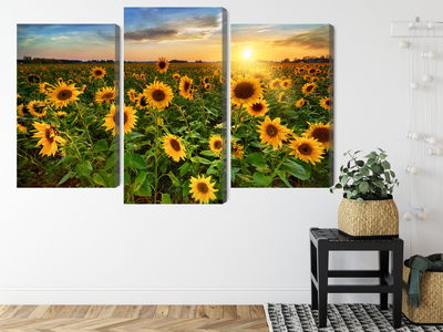 Ljuddämpande tavla - Sunflower field at sunset 3d