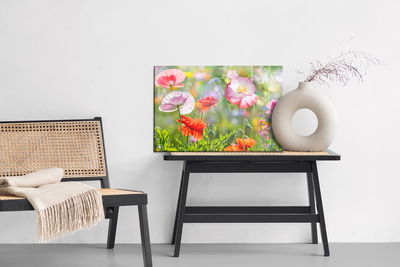 Ljuddämpande tavla - Poppies on a sunny meadow