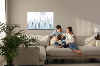 Ljuddämpande tavla - The moon over the misty