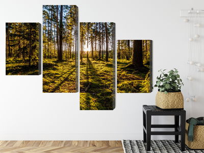 Ljuddämpande tavla - Morning sun rays