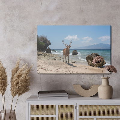 Ljuddämpande tavla - Deer on the beach
