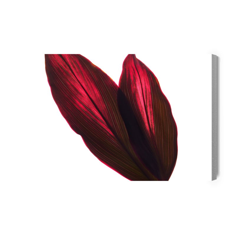 Ljuddämpande tavla - Cordyline bush leaves